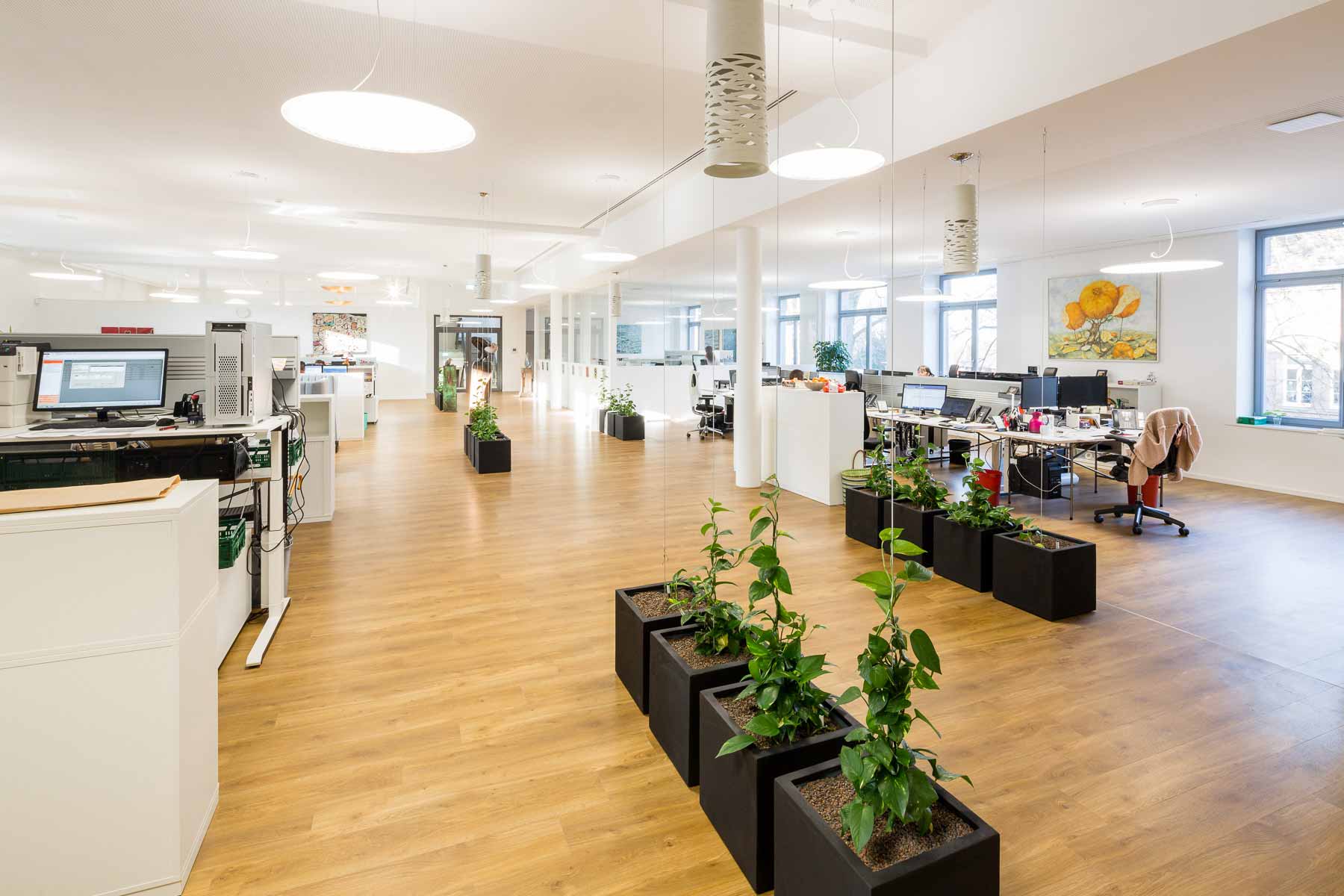 Designbelag Holztyp der Firma amtico